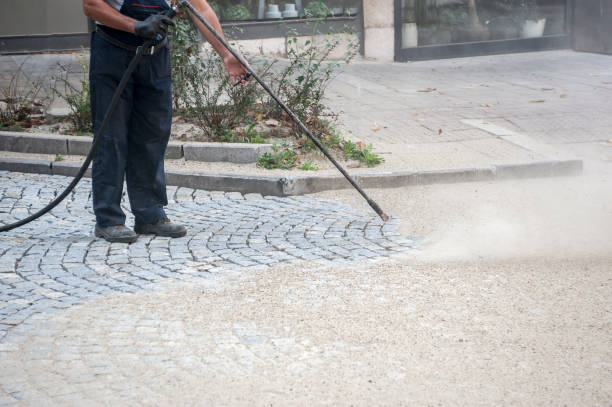 Best Dumpster Area Cleaning  in Arvada, CO